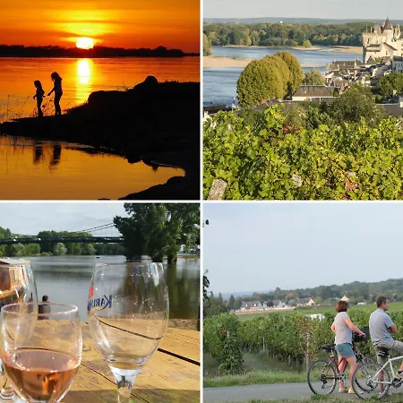 La Cotiniere 3* Grezille