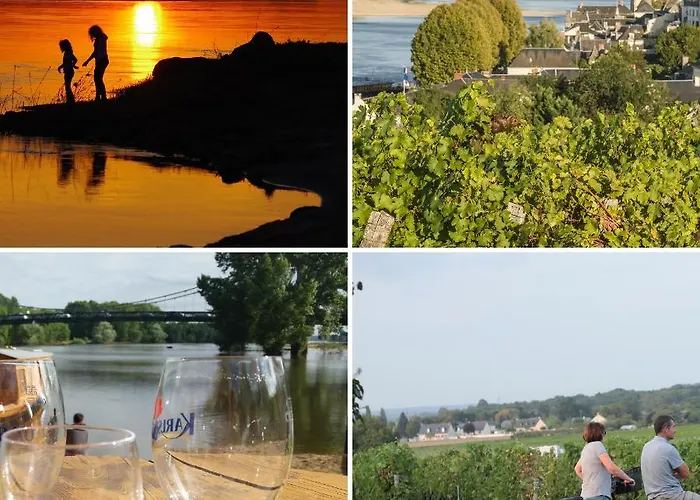 La Cotiniere 3* Grézillé